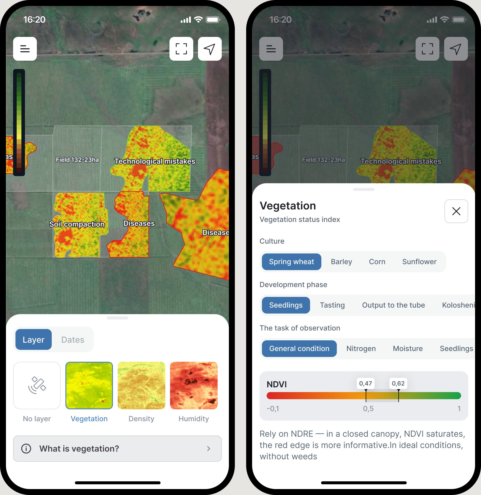 Vegetation layer on the map and the What is vegetation bottom sheet